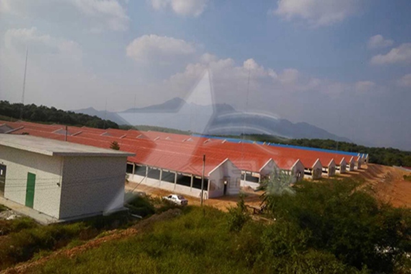 南寧建材市場什么樣的樹脂瓦質量好